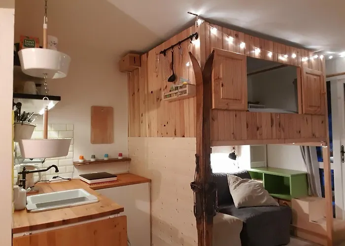 Alpheratz Forest - 1 à 3 Pers - Wifi, Balcon, Vue Piste Et Glacier Muzelle, Calme, Proche Commerces Et Pistes- Tsc Super Venosc à 80m * Les Deux Alpes